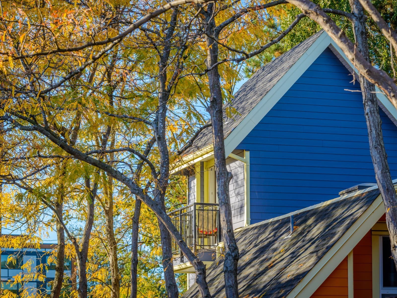 Blue house roofline through autumn trees.